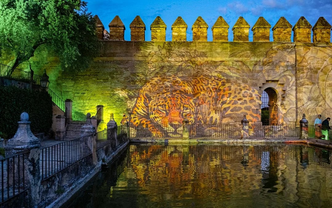 Alcázar of Córdoba Guided Night Tour Image 7