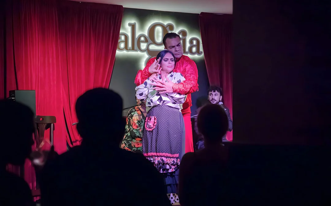 Alegría - Flamenco Show Image 1