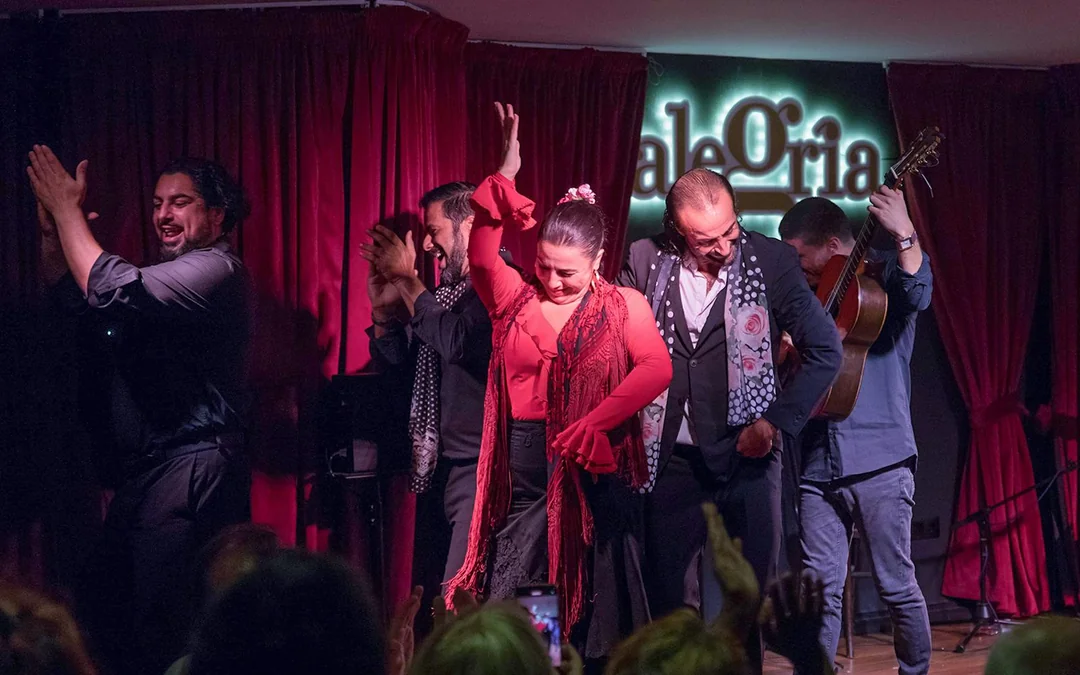 Alegría - Flamenco Show Image 3