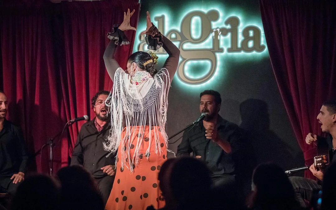 Alegría - Flamenco Show Image 4