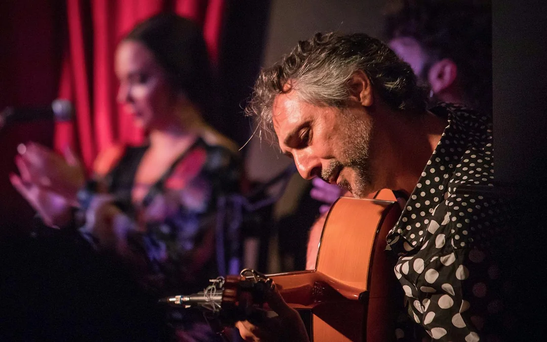 Alegría - Flamenco Show Image 5