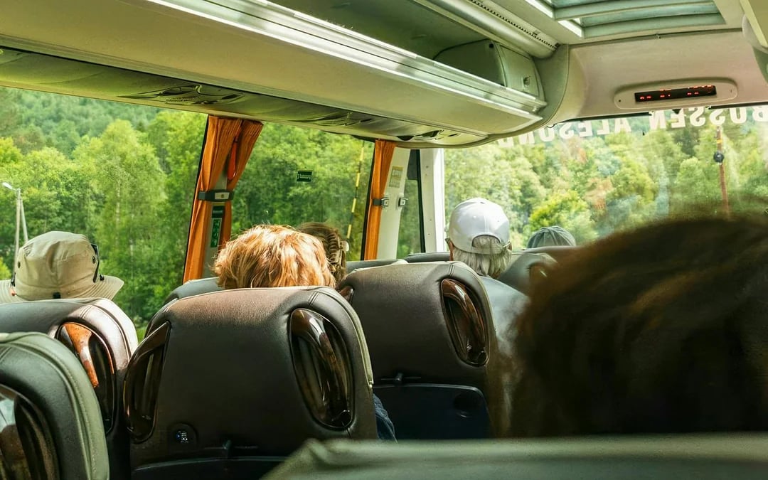 Alesund–Geiranger Fjord Sightseeing Cruise & Bus Tour Image 6
