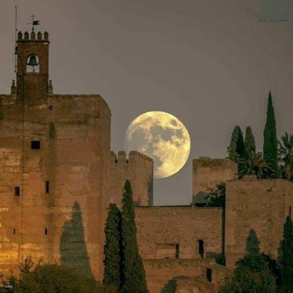 Alhambra and Generalife private tour