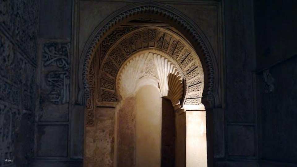 Alhambra and Generalife private tour