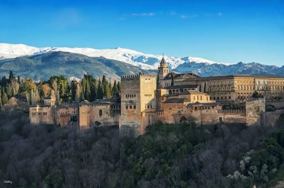 Alhambra and Generalife private tour