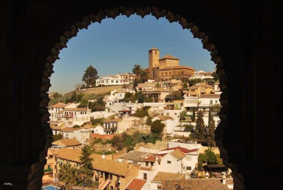 Alhambra and Generalife private tour