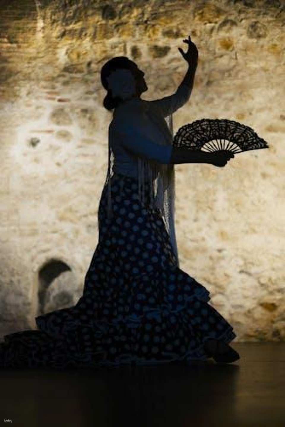 Alhambra guided tour with flamenco show and dinner