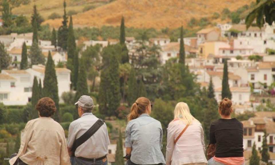 Alhambra guided tour with flamenco show and dinner
