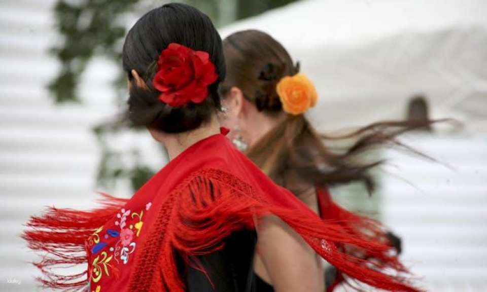 Alhambra guided tour with flamenco show and dinner