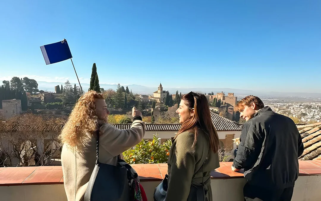 All Alhambra Tickets: Private Guided Tour with Nasrid Palaces Image 2