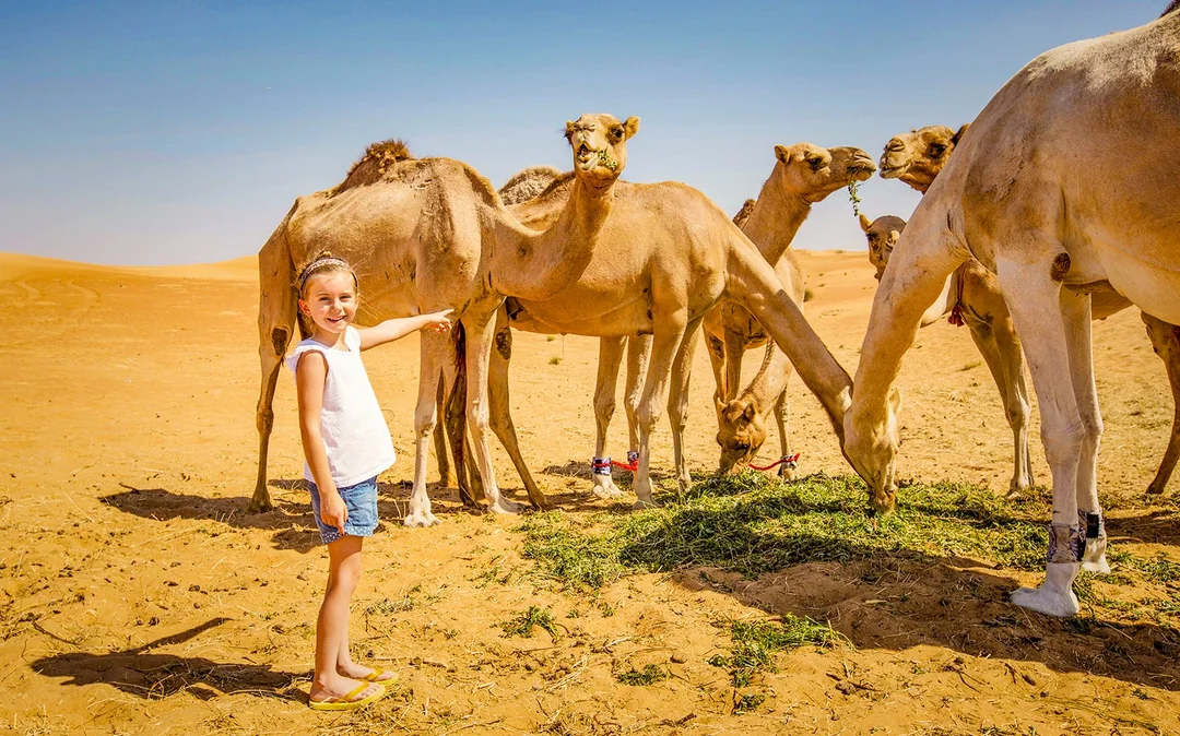 All-Inclusive Overnight Desert Safari with Sunrise Camel Trek Image 12