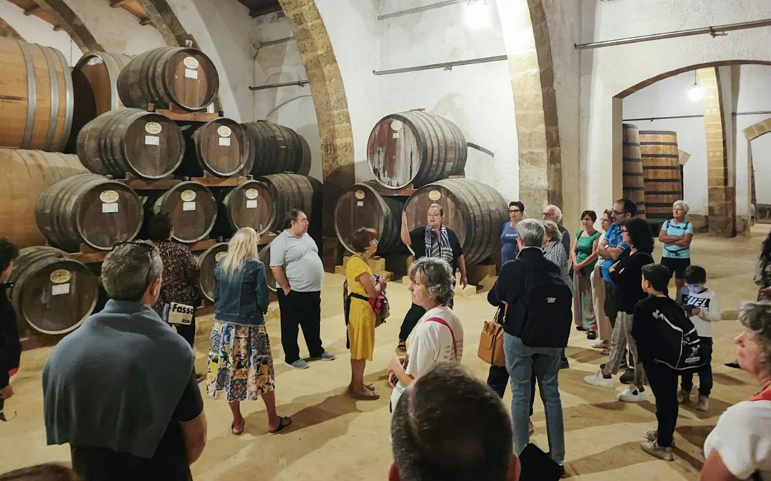 All-Inclusive Tour of Erice & Marsala: Wine, Olive Oil & Salt Route Image 2