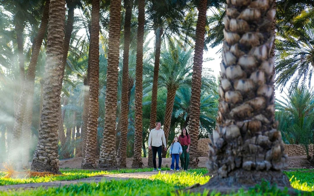 AlUla Guided Tour: Hegra, Old Town, Elephant Rock with Saudi Meal Image 4