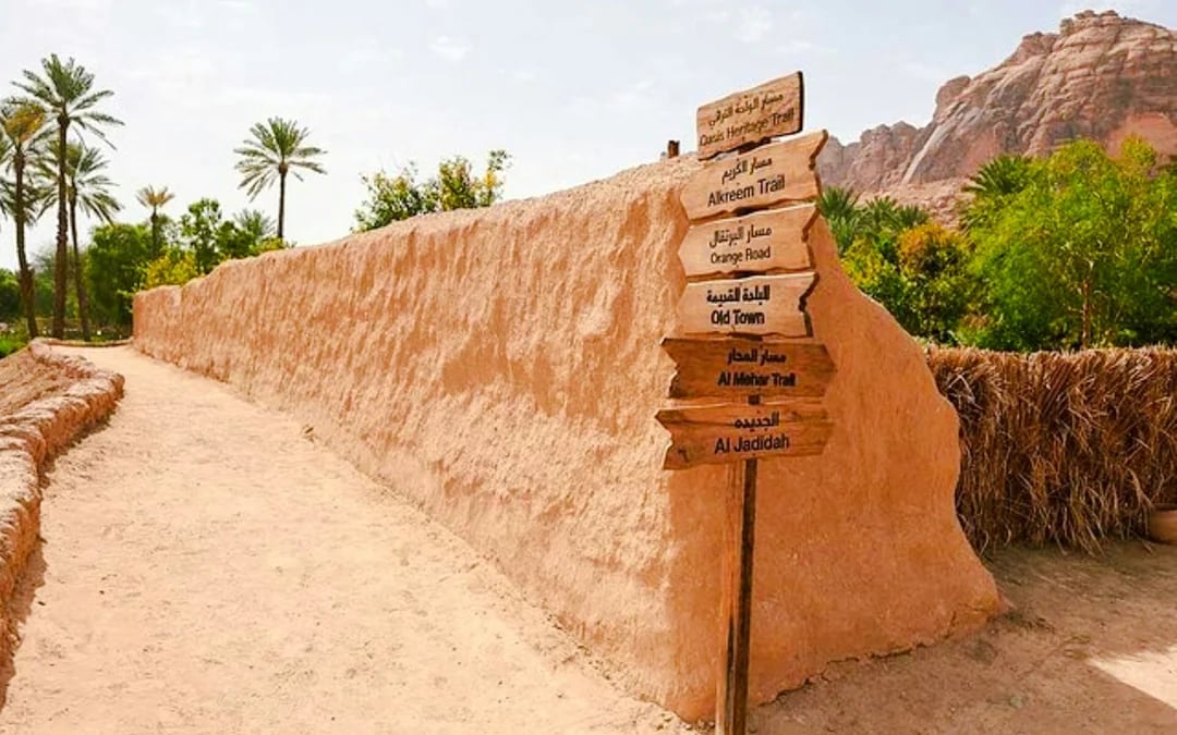 AlUla Private Old Town, Oasis & Harrat Viewpoint Sunset Tour with Transfers Image 9