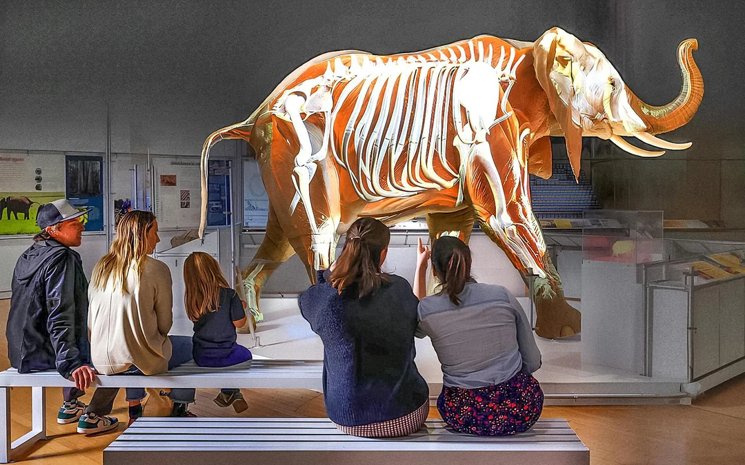 American Museum of Natural History Tickets + 1 Ticketed Exhibition Image 1