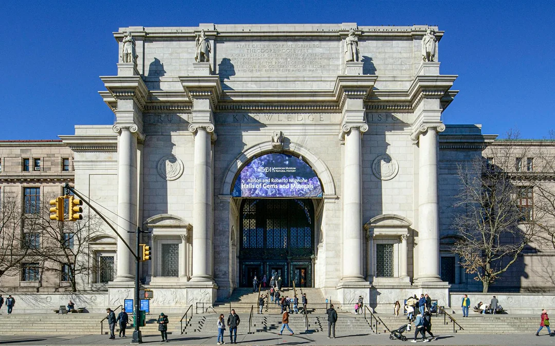 American Museum of Natural History Tickets + 1 Ticketed Exhibition Image 11
