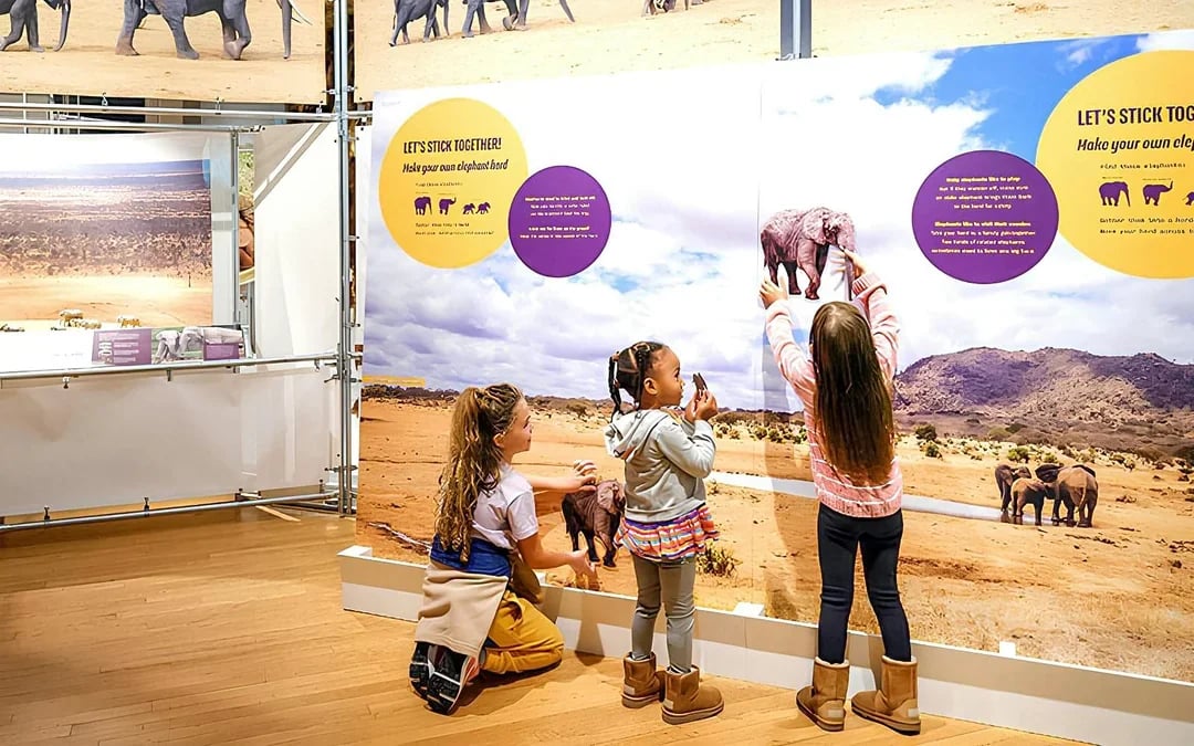 American Museum of Natural History Tickets + 1 Ticketed Exhibition Image 9