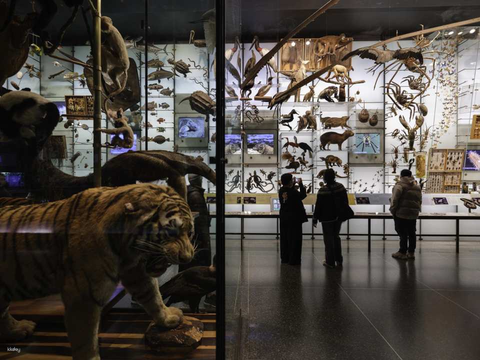 American Museum of Natural History Ticket