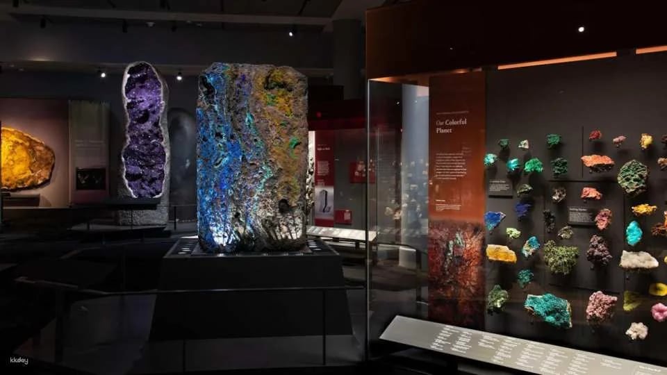 American Museum of Natural History Ticket