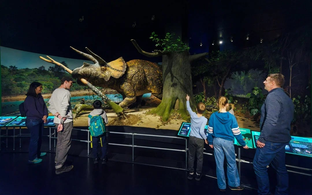 American Museum of Natural History Tickets + All Ticketed Exhibitions Image 1