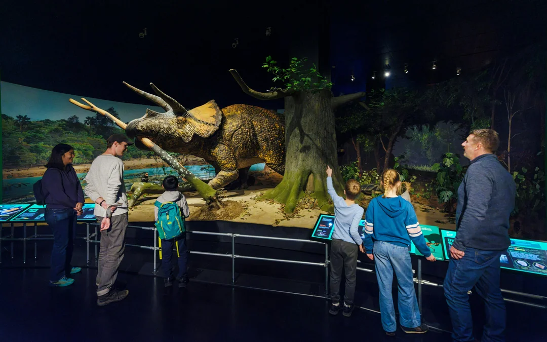 American Museum of Natural History Tickets + All Ticketed Exhibitions Image 1