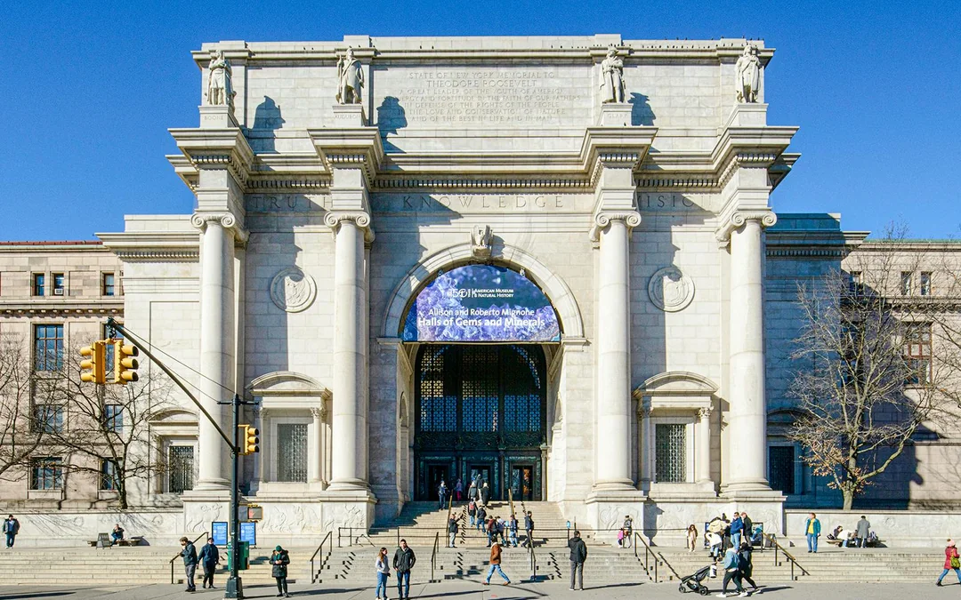 American Museum of Natural History Tickets + All Ticketed Exhibitions Image 11