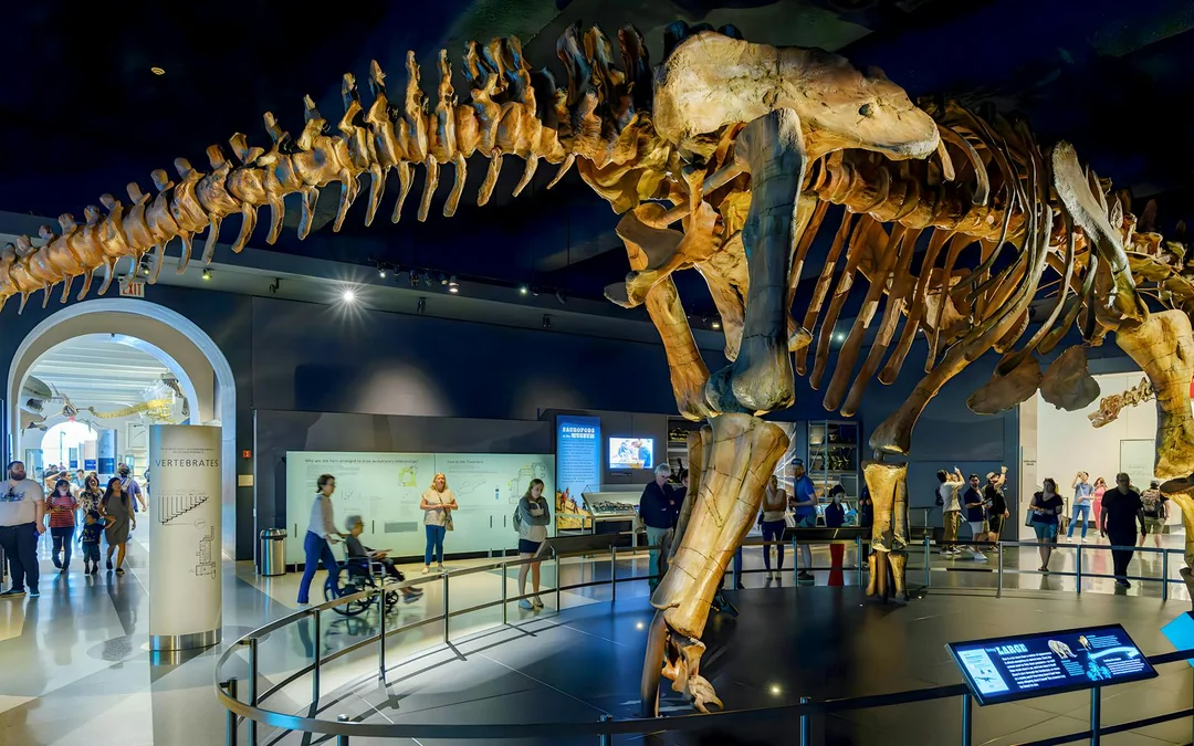 American Museum of Natural History Tickets + All Ticketed Exhibitions Image 3