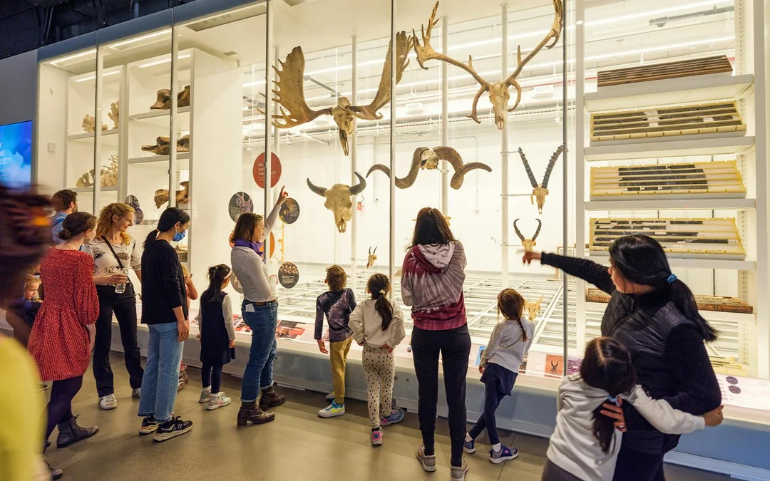 American Museum of Natural History Tickets + All Ticketed Exhibitions Image 5