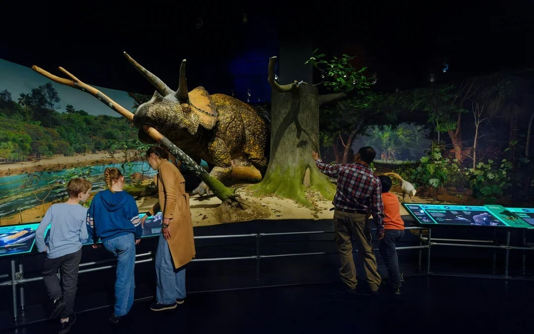 American Museum of Natural History Tickets + All Ticketed Exhibitions Image 9