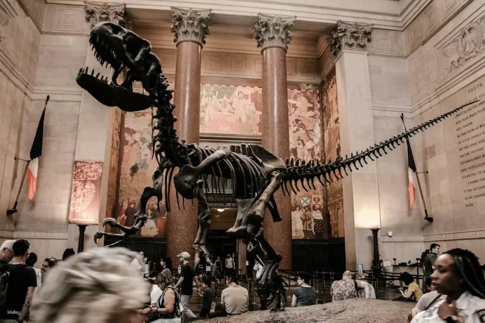 American Museum of Natural History Ticket | New York