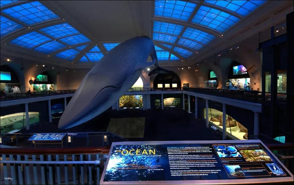 American Museum of Natural History Ticket | New York