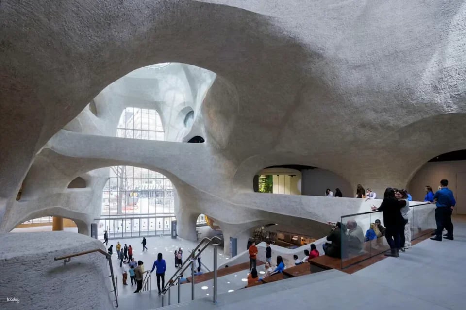 American Museum of Natural History Ticket | New York
