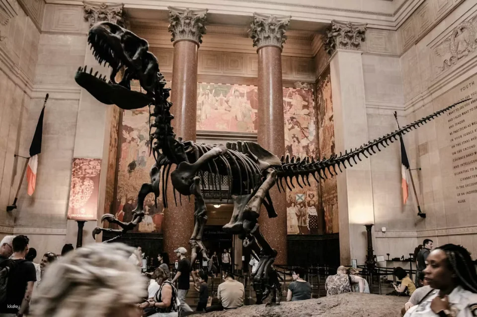 American Museum of Natural History Ticket | New York