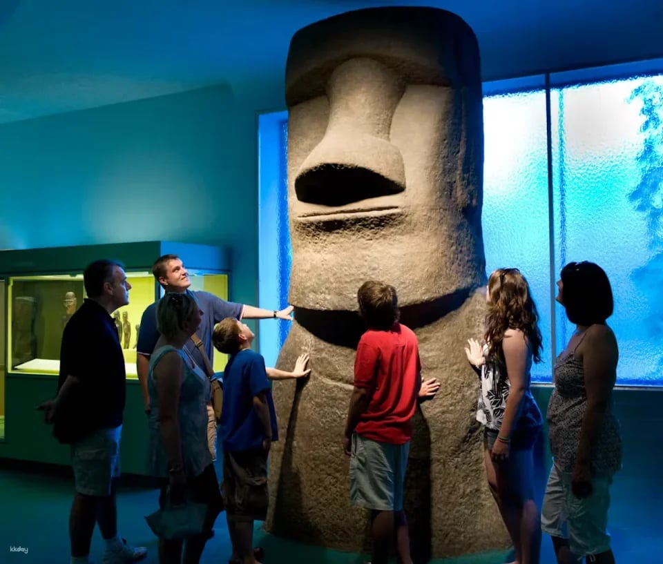 American Museum of Natural History Ticket | New York