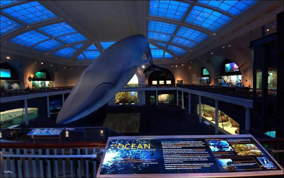 American Museum of Natural History Ticket