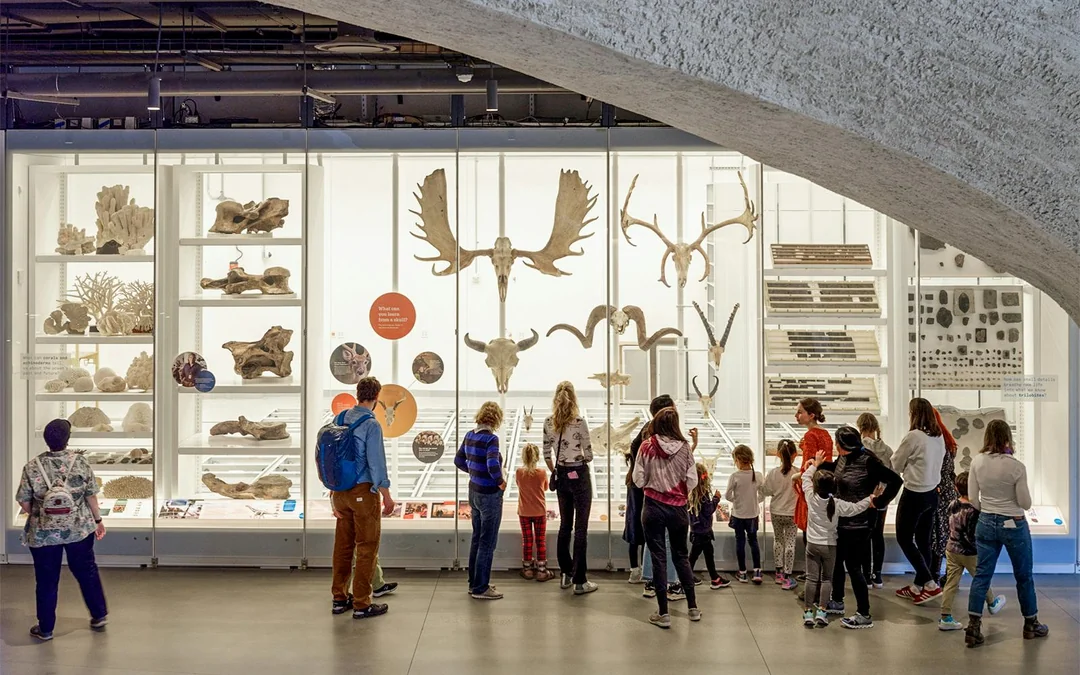 American Museum of Natural History Tickets Image 2