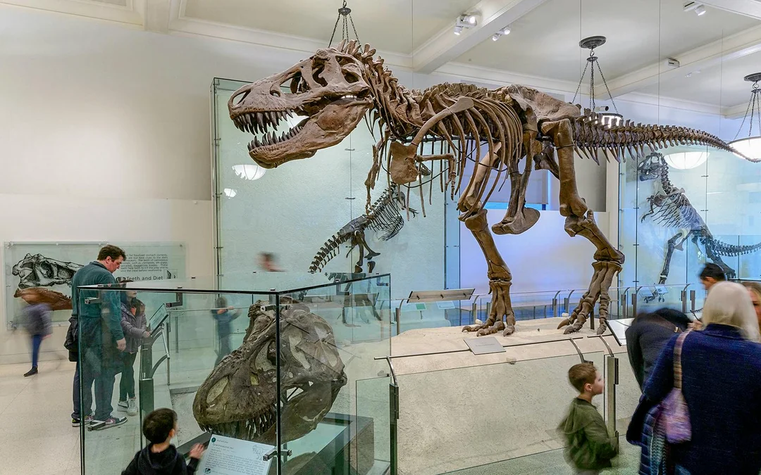 American Museum of Natural History Tickets Image 3