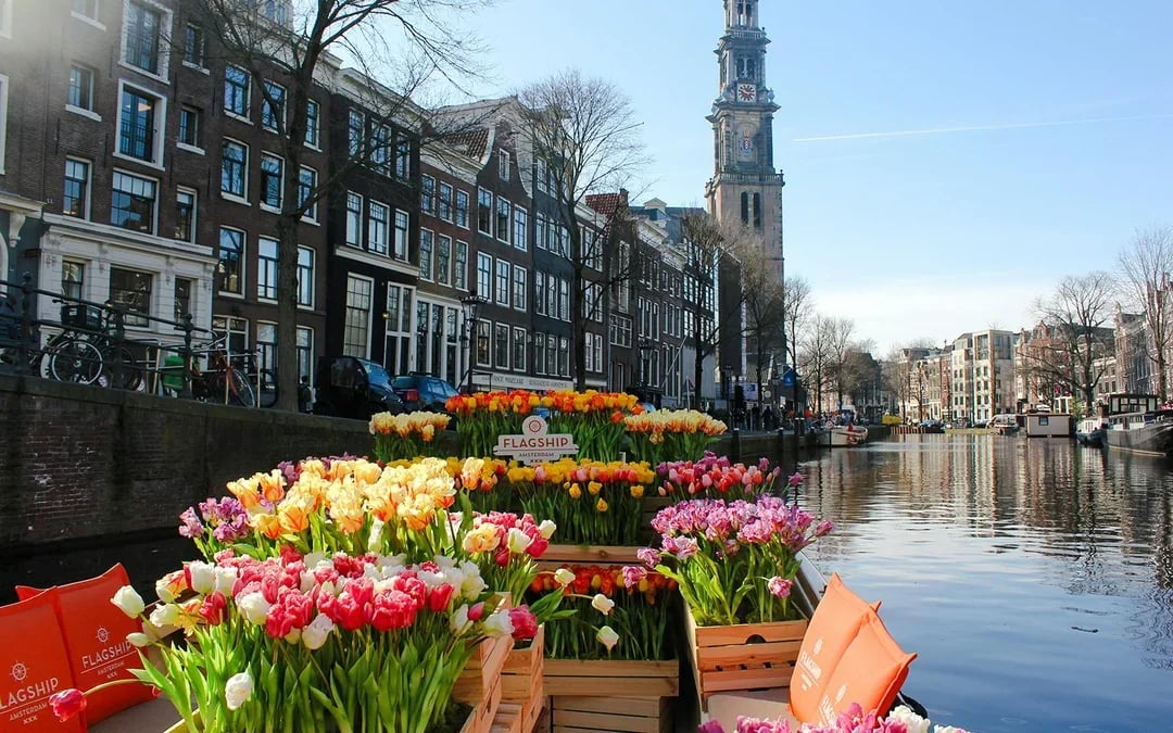 Amsterdam: 1-Hour Exclusive Tulip Experience on a Luxury Open Boat Image 10