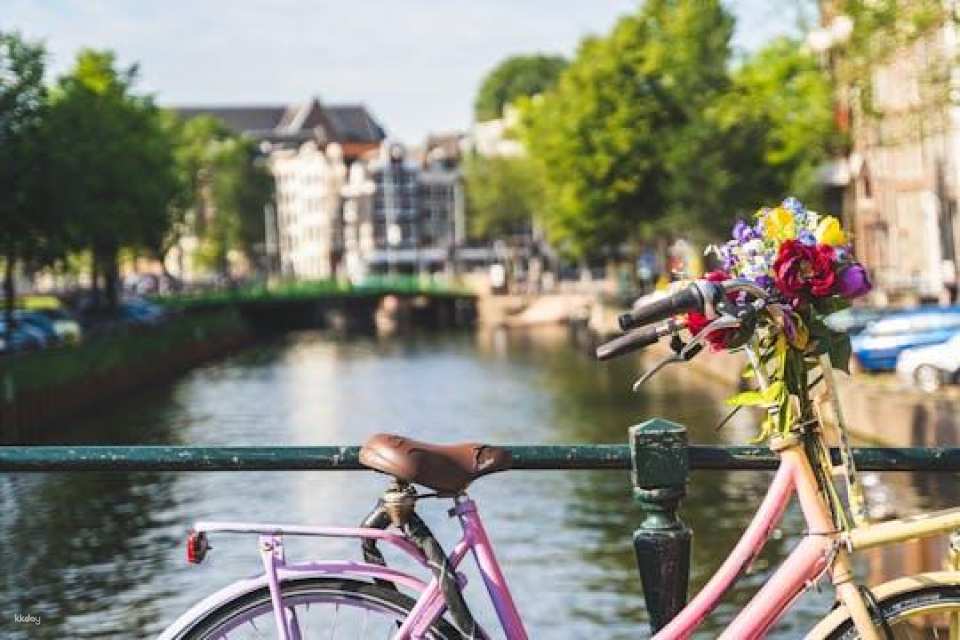 Amsterdam countryside bike tour with windmills
