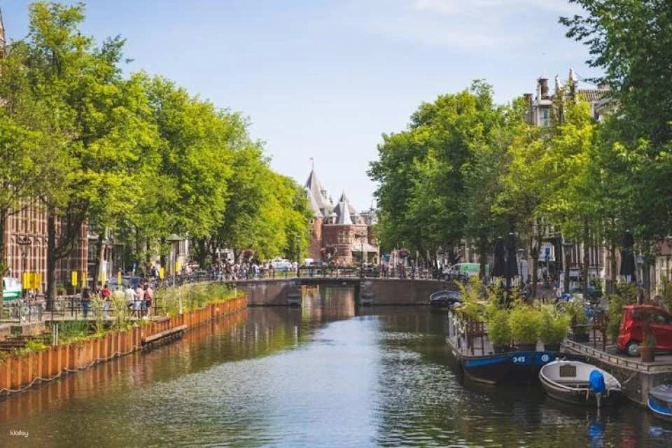 Amsterdam countryside bike tour with windmills