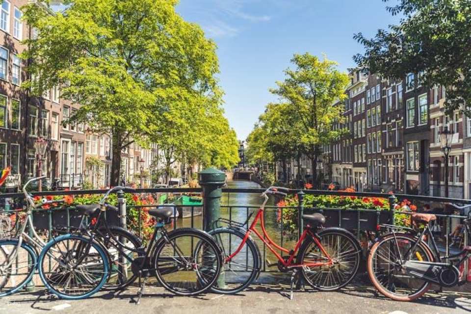 Amsterdam countryside bike tour with windmills
