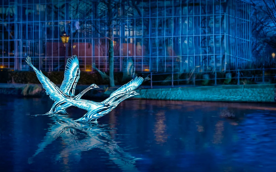 Amsterdam Light Festival: 90-min Extended Traditional Cruise with Optional Wine & Snackbox Image 4