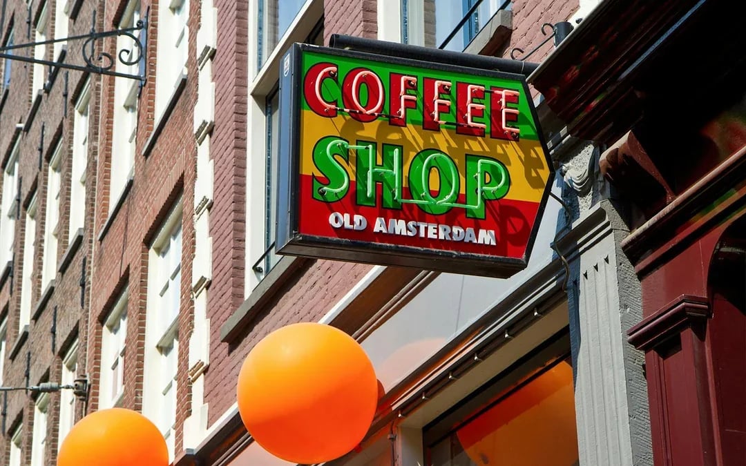 Amsterdam: Red Light District Guided Walking Tour Image 7