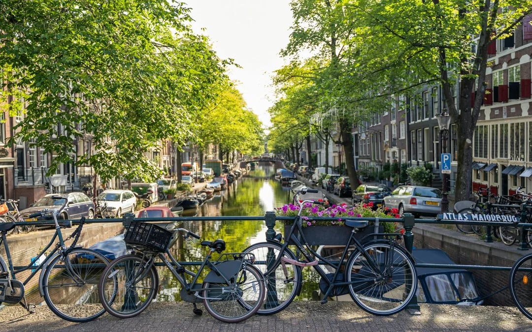 Amsterdam Small-Group Bike Tours Image 3