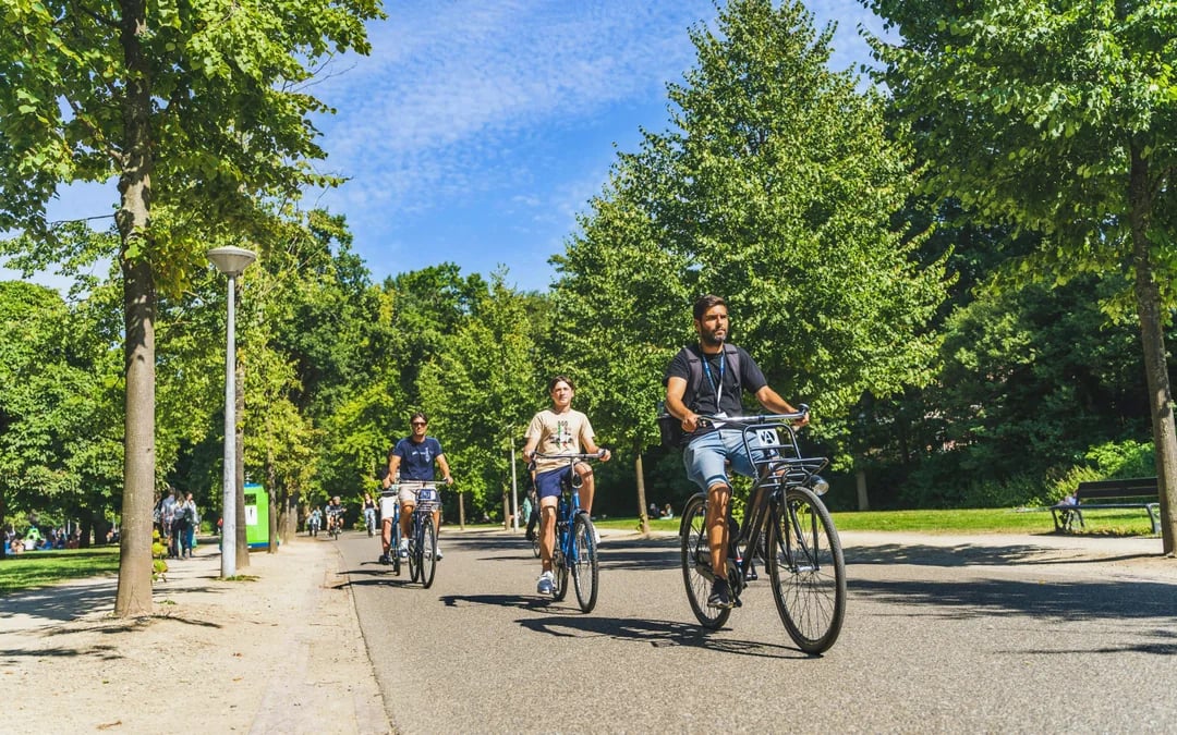 Amsterdam Small-Group Bike Tours Image 5