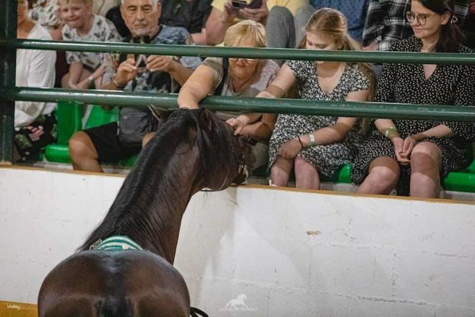 Andalusian horse flamenco show in Torremolinos