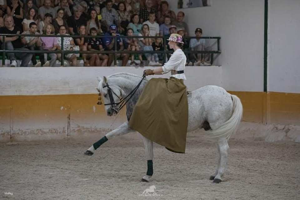 Andalusian horse flamenco show in Torremolinos