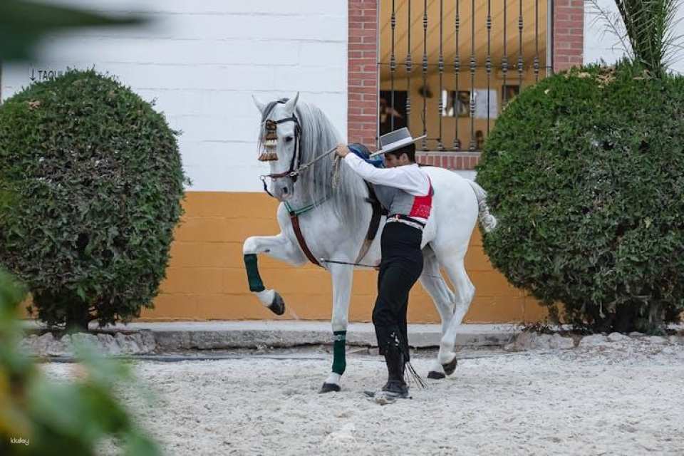 Andalusian horse flamenco show in Torremolinos