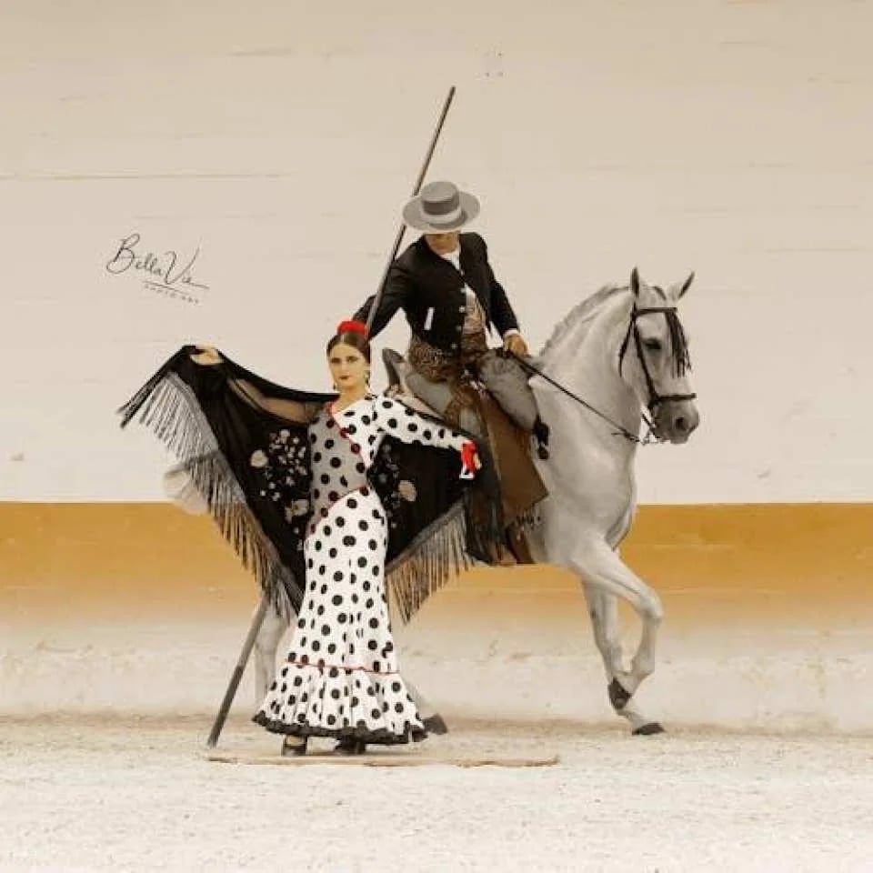 Andalusian horse flamenco show in Torremolinos