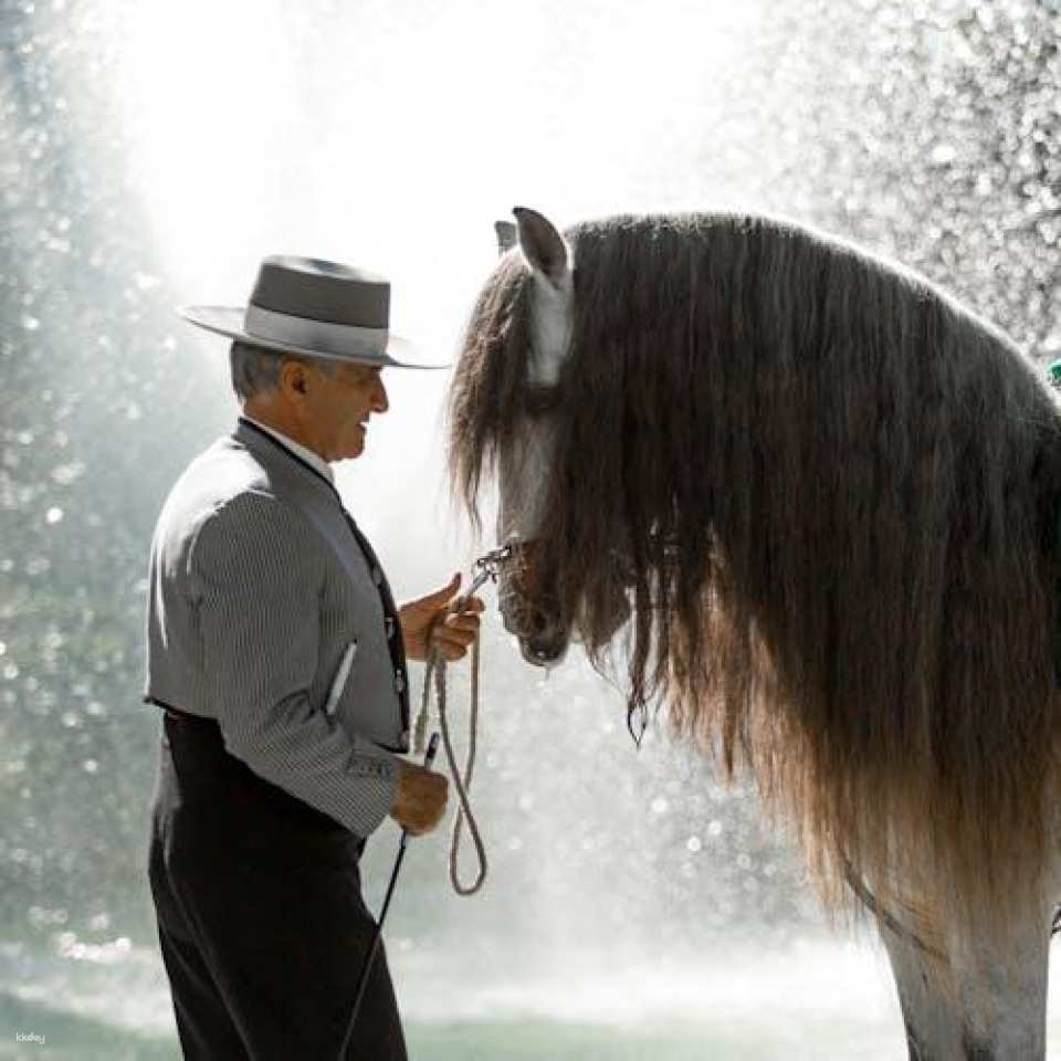 Andalusian horse flamenco show in Torremolinos
